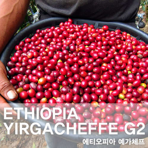 [카페마스터]에티오피아 예가체프 G2(생두 1kg)